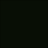 PRETO OURO NEGRO